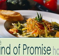 Land of Promise Hotel - Pubs Adelaide
