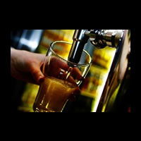 Fig Tree Pocket QLD Pubs Adelaide