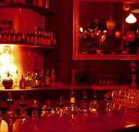 The Night Cat - Pubs Adelaide