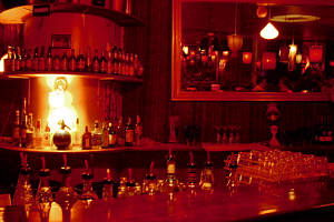 The Night Cat - Pubs Adelaide 0