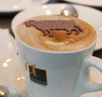 Brown Cow - Pubs Adelaide