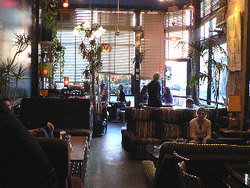 Blackcat - Pubs Adelaide 1