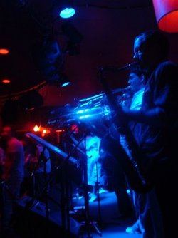 The Night Cat - Pubs Adelaide 2