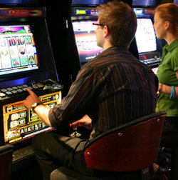 Koala Tavern - Pubs Adelaide 2