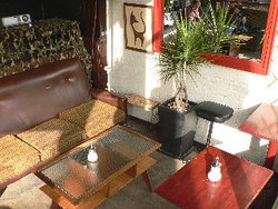 Blackcat - Pubs Adelaide 2