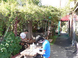 Blackcat - Pubs Adelaide 3