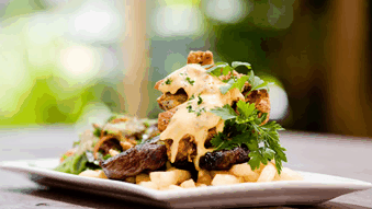 Hinterland Hotel - Pubs Adelaide 4