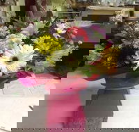 Bahia Restaurant - Pubs Adelaide