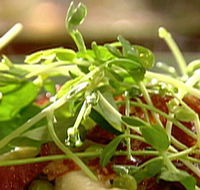 Wild Hearts Cafe Restaurant - Pubs Adelaide