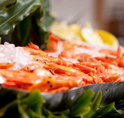 Food Fantasy - Pubs Adelaide