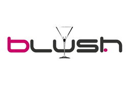 Blush Night Club - Pubs Adelaide 0