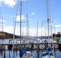 Oyster Cove Inn - Pubs Adelaide