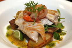 Redsalt - Pubs Adelaide 1