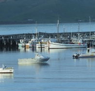 The Apollo Bay Hotel - Pubs Adelaide