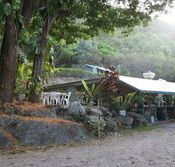 Ellis Beach Bar  Grill - Pubs Adelaide