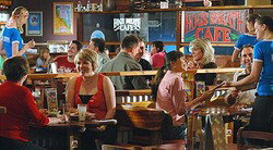 Hogs Breath - Mandurah - Pubs Adelaide 0