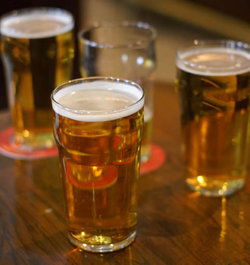 Black Lion Inn Hotel - Pubs Adelaide 1