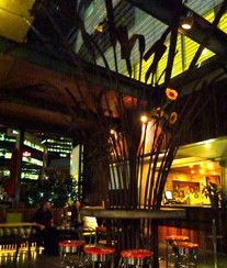 Treehouse Hotel - Pubs Adelaide 2