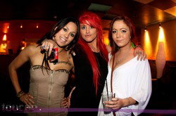 Toucan Club - Pubs Adelaide 2