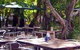 Lizard's Outdoor Bar And Grill - thumb 3