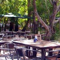 Lizard's Outdoor Bar And Grill - Pubs Adelaide 3