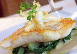 Black Lion Inn Hotel - Pubs Adelaide 3