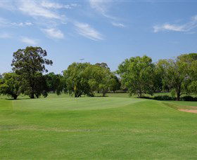 Singleton Golf Club - Pubs Adelaide 1
