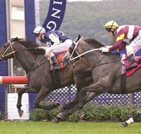 Gosford Race Club - Pubs Adelaide