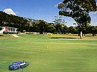 Bicheno Golf Club Incorporated