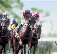 Colac Turf Club - Pubs Adelaide