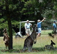 Glen Innes Golf Club - Pubs Adelaide