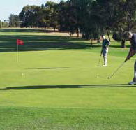 Waikerie Golf Club - Pubs Adelaide