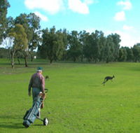 Coffin Bay Golf Club - Pubs Adelaide