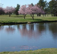 RMC Golf Club - Pubs Adelaide
