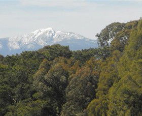 Mansfield Golf Club - Pubs Adelaide 3