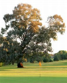 Cowra NSW Pubs Adelaide