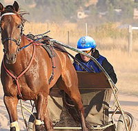 Ballarat  District Trotting Club - Pubs Adelaide