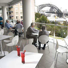 Lavender Bay NSW Pubs Adelaide