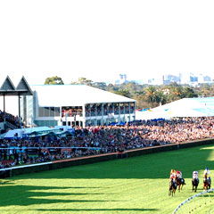 South Australian Jockey Club - Pubs Adelaide 0
