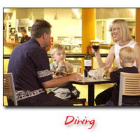 Steelers Club - Pubs Adelaide