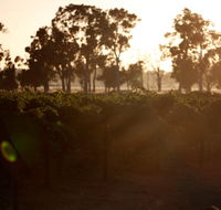 Evans  Tate - Pubs Adelaide