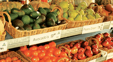 Supply Jervis Bay - Pubs Adelaide 2