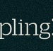 Dumpling Republic - Pubs Adelaide