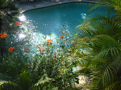 Avoca Beach Hotel - Pubs Adelaide 1