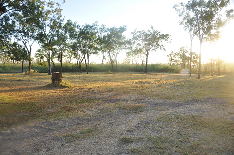 The Bark Hut Inn - Pubs Adelaide 2