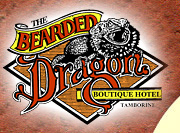 The Bearded Dragon Hotel - Pubs Adelaide 0