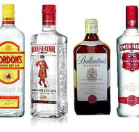 Mount Surprise Hotel - Pubs Adelaide