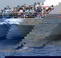 MoonshadowTQC Cruises - Pubs Adelaide