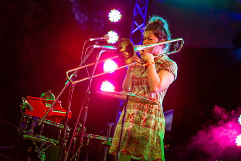 Agnes Blues, Roots And Rock Festival - Pubs Adelaide 2