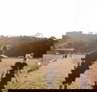 Arcadia - Pubs Adelaide